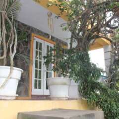 Buttercup Cottage Apartments in Bequia, St. Vincent and the Grenadines from 96$, photos, reviews - zenhotels.com photo 14