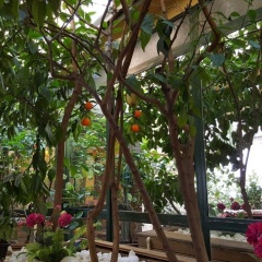 Boyuguzel Termal Hotel - Bild 18