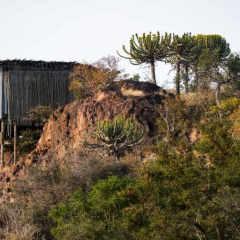 Singita Lebombo Lodge