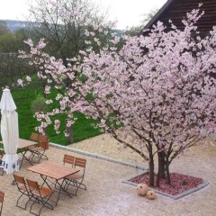 Landgasthaus Hesse - Bild 14