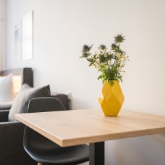 Homaris Boxi Studios - Bild 4