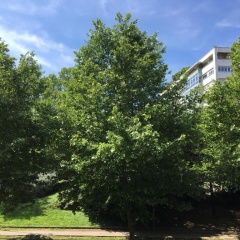 Hotel Casa Mia - Bild 9