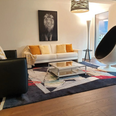 Swiss Apartments Interlaken thumbnail 10