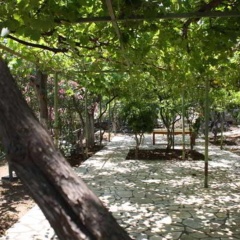 Ocakkoy Holiday Village - Bild 6