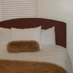 Raccoon Lodge Holiday Home thumbnail 5