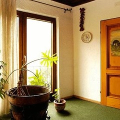 Dachswald - Bild 3