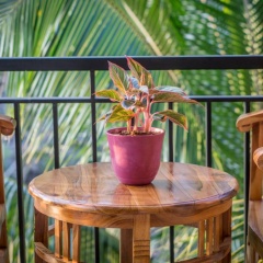 Jero Griya Ubud - Bild 8