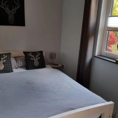 Das Ferienhaus am Tiergarten - Bild 5
