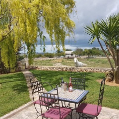 Finca Casa Maria - Bild 16