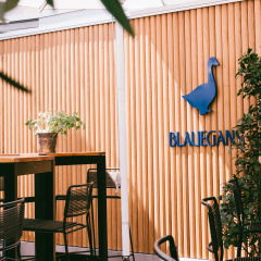 Arthotel Blaue Gans - Bild 21