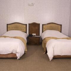 Hally Hotel in Tehran, Iran from 153$, photos, reviews - zenhotels.com photo 3