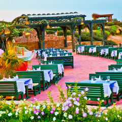 Charmillion Club Resort in Sharm El Sheikh, Egypt from 164$, photos, reviews - zenhotels.com photo 12
