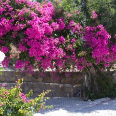 Sun Garden Apart Hotel - Bild 11