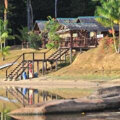 Danpaati River Lodge in Paramaribo, Suriname from 119$, photos, reviews - zenhotels.com photo 13