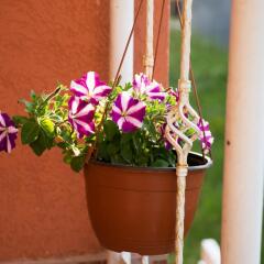 Apartments Dedeic in Zabljak, Montenegro from 74$, photos, reviews - zenhotels.com photo 43