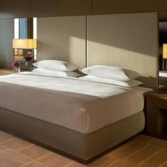 Hyatt Regency Dubai Creek Heights thumbnail 22