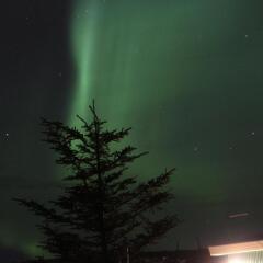 Skeiðvellir Villa in Laugaras, Iceland from 391$, photos, reviews - zenhotels.com photo 41