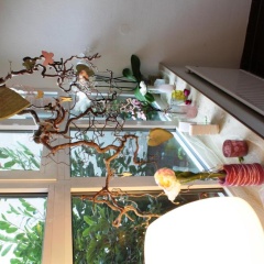 Hotel Blumlage Celle - Bild 8