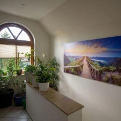 Gaestewohnung-Wieck - Bild 7