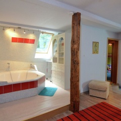 Elite Holiday Home with Pool in Sankt Andreasberg - Bild 2