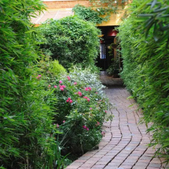 Les Patios du Marais 2 thumbnail 21
