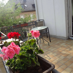 Hotel Weisses Haus - Bild 21