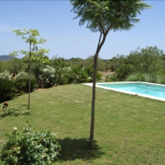 Finca Caimari - Bild 8