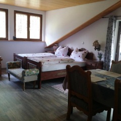 Schwarzwald - Villa Appartments Titisee - Bild 2