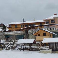 Pensiunea Casa Alex in Campulung Moldovenesc, Romania from 67$, photos, reviews - zenhotels.com photo 19