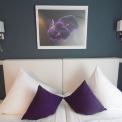 Rheinmetropole Hotel - Bild 3