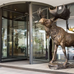 Scandic Frankfurt Museumsufer - Bild 27