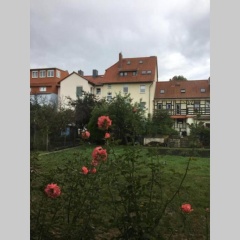 4 Sterne Ferienwohnung , 65 qm - Bild 6