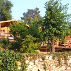 Onur Motel Faralya - Bild 10