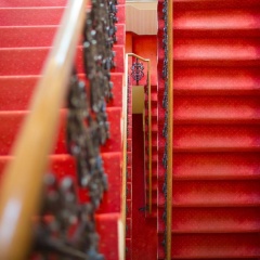 Galerie Royale - Bild 11