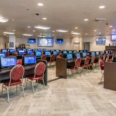 Plaza and Casino Hotel - Bild 29