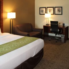 Comfort Suites Leesburg in Leesburg, United States of America from 150$, photos, reviews - zenhotels.com photo 30