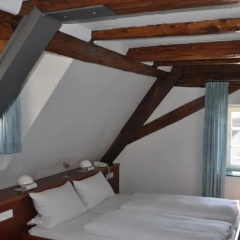 Gasthaus Zur Tanne - Bild 9