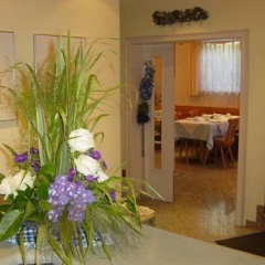 Coro - Bild 7