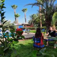 Riad Redwan - Bild 12