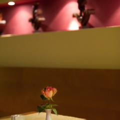 Altstadthotel Grauer Wolf - Bild 14