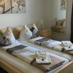 Swiss Lakeview Apartment thumbnail 1