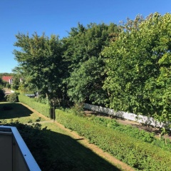 Ferienwohnung am Damenpfad - Bild 10