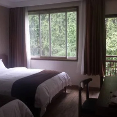 Yangshuo Big Banyan Tree James Joyce Coffetel thumbnail 2