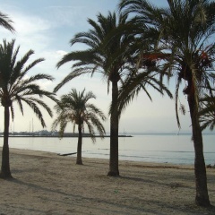 BLUESEA Mediodia - Bild 24