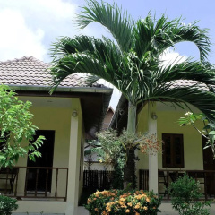 Ron's Bungalow