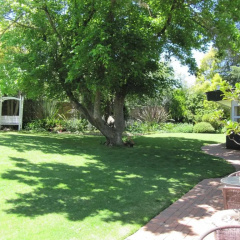 The Pecan Tree thumbnail 11