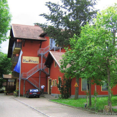 Vino Vitalis - Bild 1