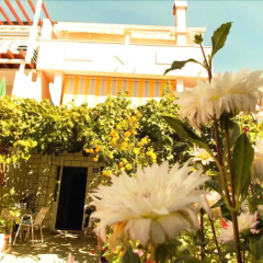 Guesthouse Jenny - Adults Only thumbnail 10