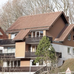 Cosy Apartment in Sankt Andreasberg Near Ski Area - Bild 1