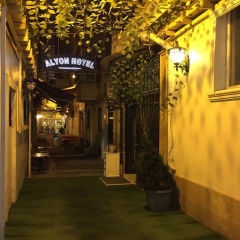 Alyon Hotel Taksim - Bild 1